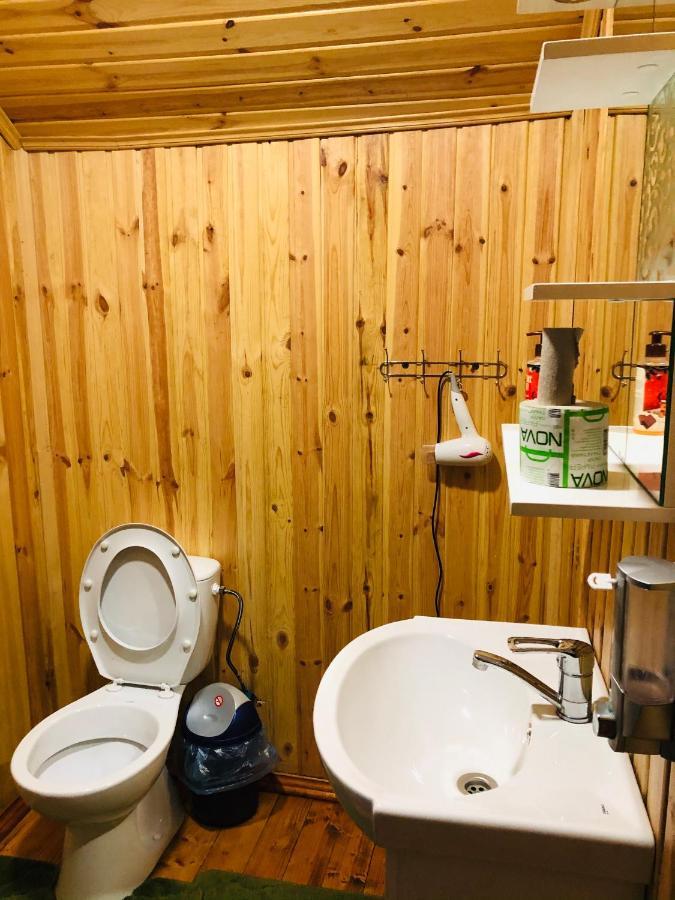 У Віти Номер3 Apartment Synevyrs'ka Polyana Bagian luar foto